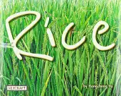 Rice (盘中餐)