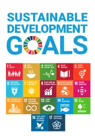 UN SDGs